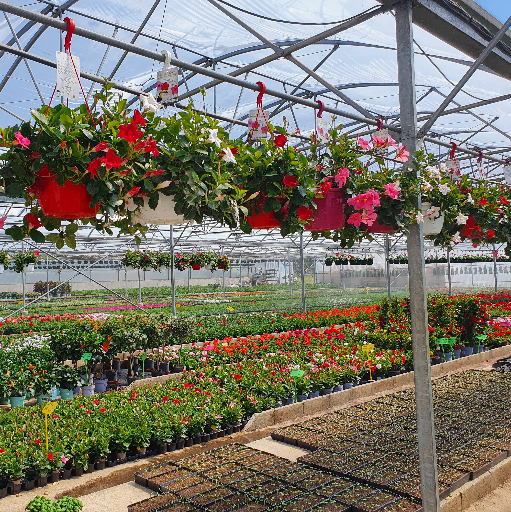 Loribar Les Serres d'Ahaxe